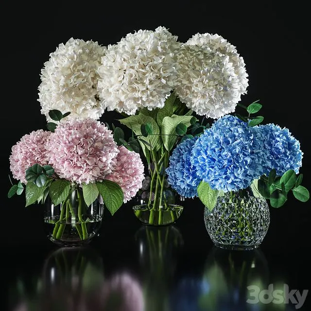 Hydrangea set 001 3D Model Hydrangea set 001 3D Model