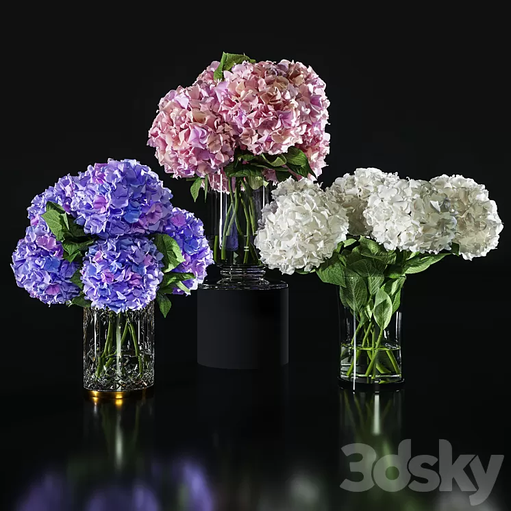 Hydrangea set 002 3D Model Free Download Hydrangea set 002 3D Model Free Download