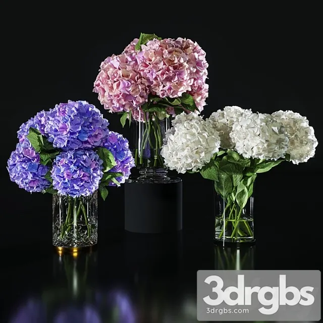 Hydrangea set 002 Hydrangea set 002