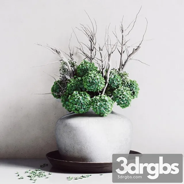 Hydrangea vase Hydrangea vase