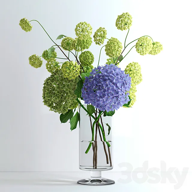 Hydrangeas and Viburnum 3DModel
