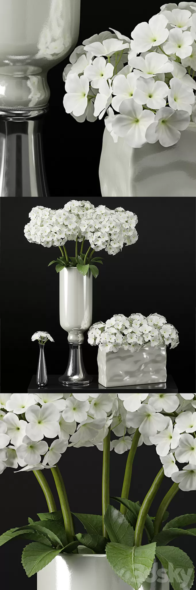 Hydrangeas arrangements-hydrangea 3D Model