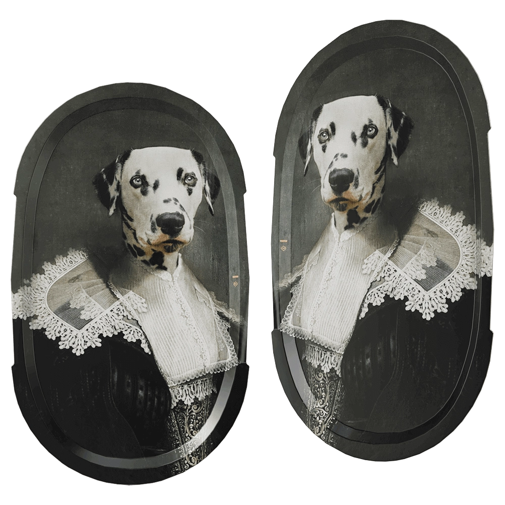 ibride – Tray Sapho size L Ellipse 3D Model