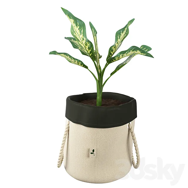 Ikea botanisk dieffenbachia 3D Model Ikea botanisk dieffenbachia 3D Model