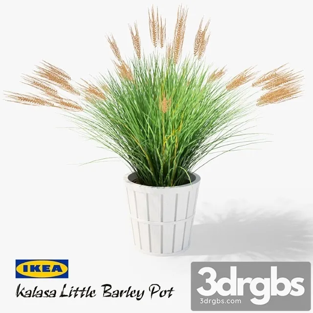 Ikea Kalasa Plant Pot And Little Barley 3D Model Download