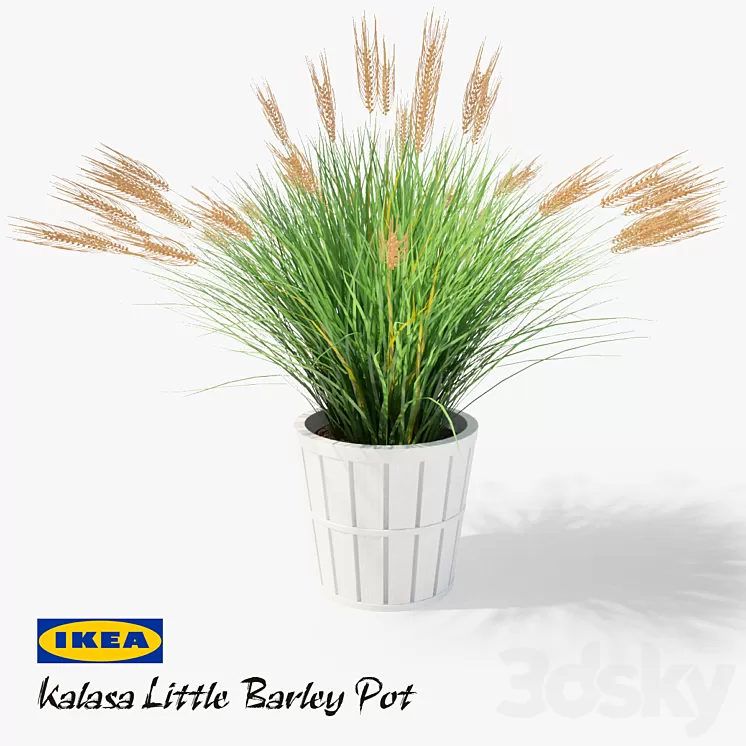 IKEA Kalasa Plant Pot and Little Barley 3D Model IKEA Kalasa Plant Pot and Little Barley 3D Model