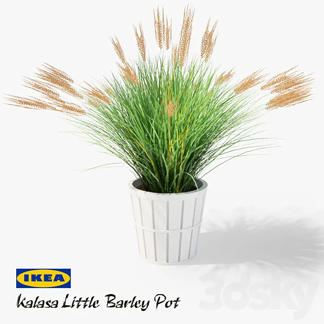 IKEA Kalasa Plant Pot and Little Barley 3DModel IKEA Kalasa Plant Pot and Little Barley 3DModel