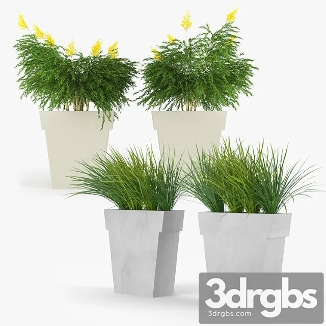 Il vaso outdoor planter Il vaso outdoor planter