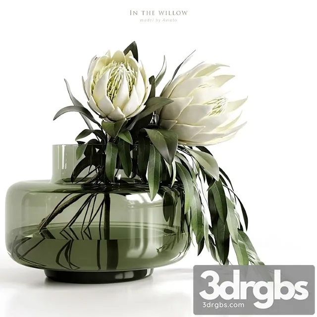 In the willow In the willow