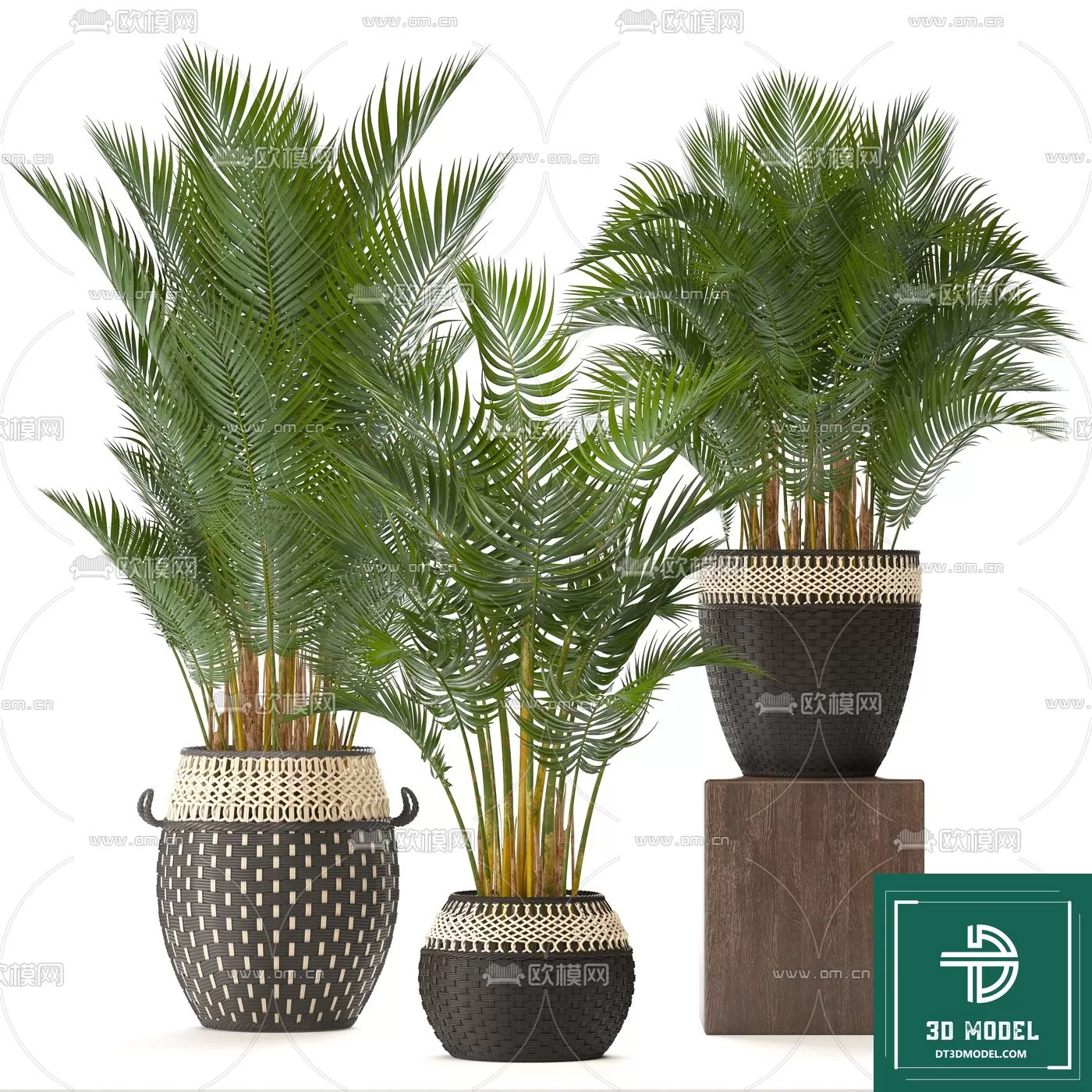 INDOCHINE STYLE – 3D MODELS – 312