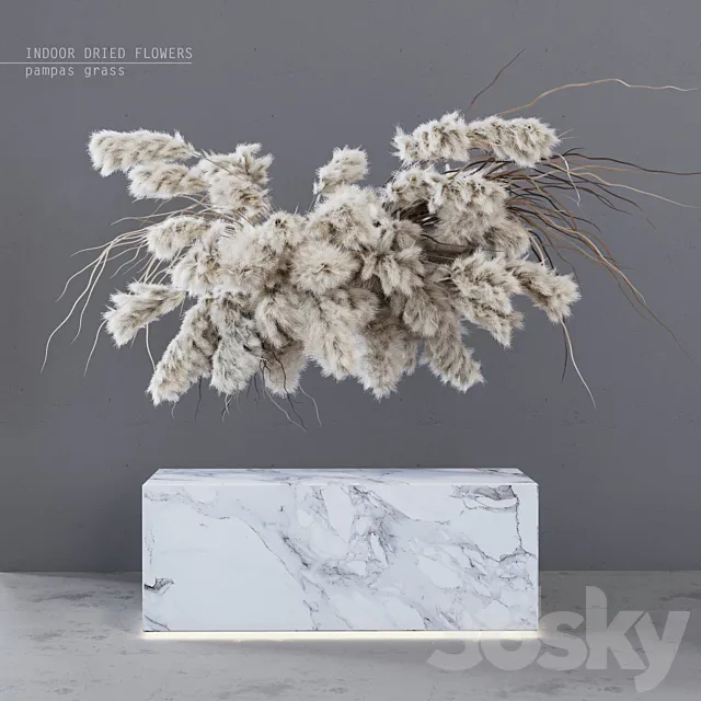 INDOOR DRIED FLOWERS _ pampas grass 3DModel INDOOR DRIED FLOWERS _ pampas grass 3DModel