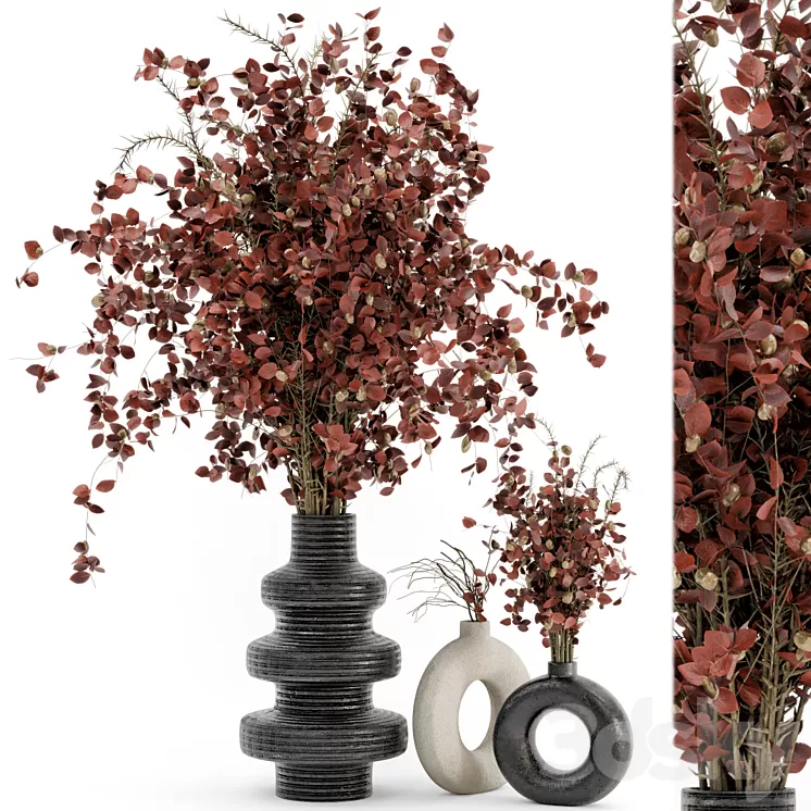 Indoor Dry Plants in rusty Concrete Pots – Set 509 3D Model Free Download