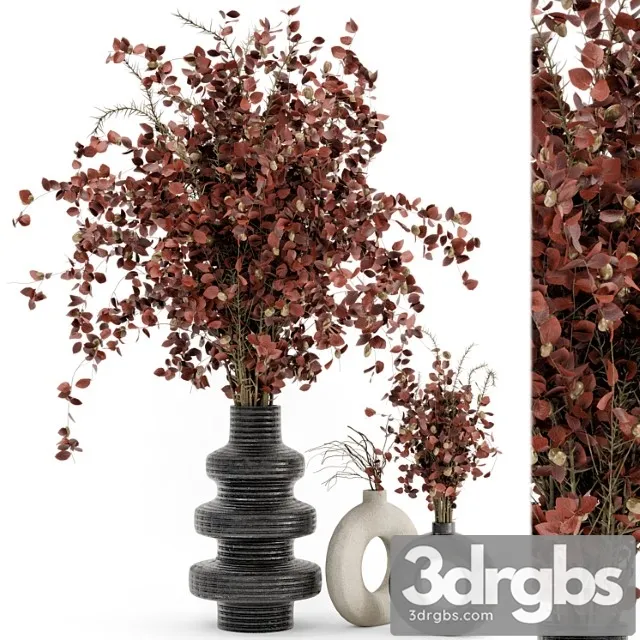 Indoor dry plants in rusty concrete pots – set 509 Indoor dry plants in rusty concrete pots – set 509