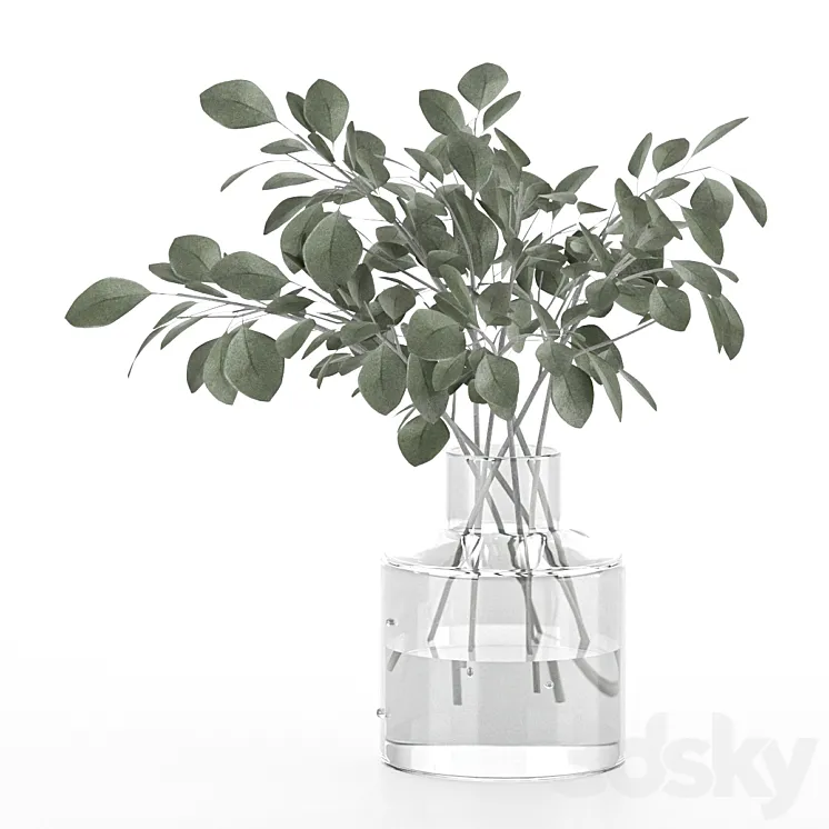 indoor eucalyptus plant in glass vase 3D Model Free Download indoor eucalyptus plant in glass vase 3D Model Free Download