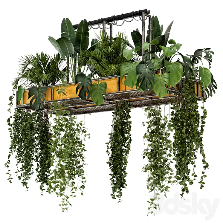 Indoor Hanging Plants in Metal Box – Set 146 3D Model