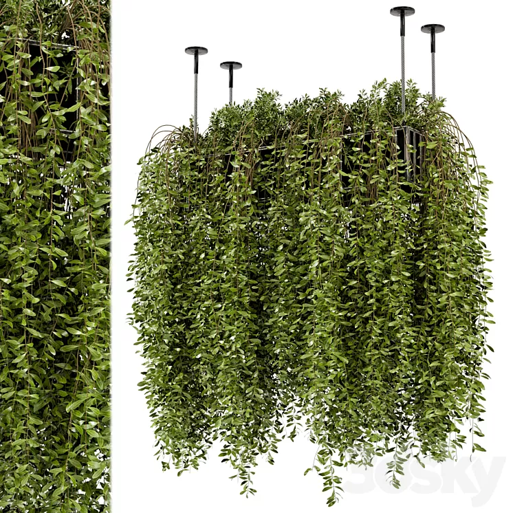 Indoor Hanging Plants in Metal Box – Set 192 3D Model