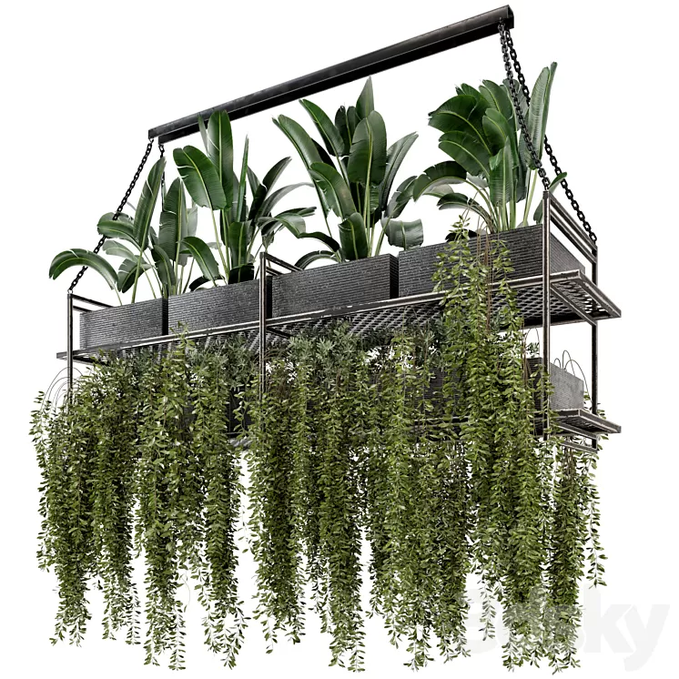 Indoor Hanging Plants in Metal Box – Set 269 3D Model Free Download