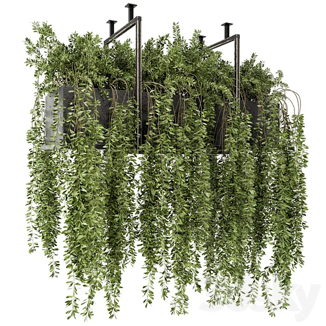 Indoor Hanging Plants in Metal Box – Set 303 3D Model Indoor Hanging Plants in Metal Box – Set 303 3D Model