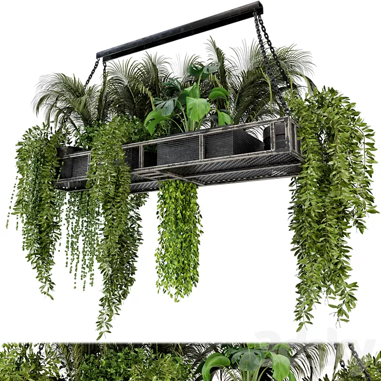 Indoor Hanging Plants in Metal Box – Set 71 3D Model Indoor Hanging Plants in Metal Box – Set 71 3D Model