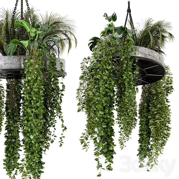 Indoor Hanging Plants in Metal Box – Set 86 3D Model Indoor Hanging Plants in Metal Box – Set 86 3D Model