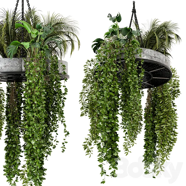 Indoor Hanging Plants in Metal Box – Set 86 3DModel