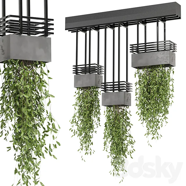 indoor hanging plants in metal box_ – Set 682 3D Model