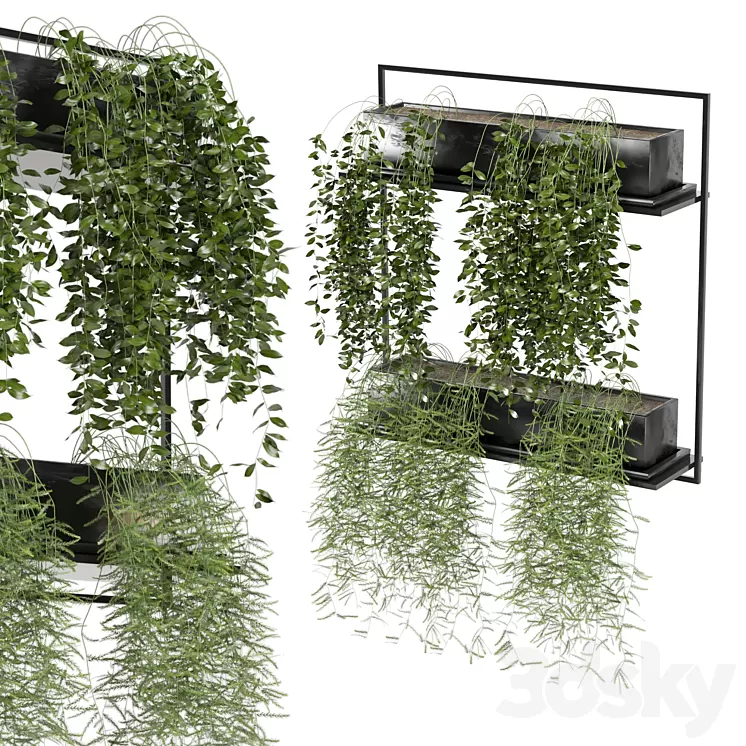 indoor hanging plants in metal box_set 142 3D Model Free Download