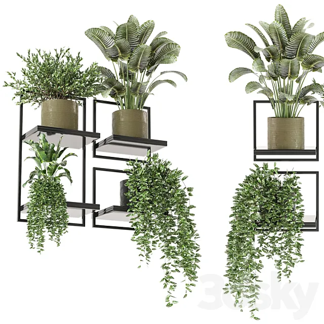 indoor hanging plants in metal box_set 332 3D Model indoor hanging plants in metal box_set 332 3D Model