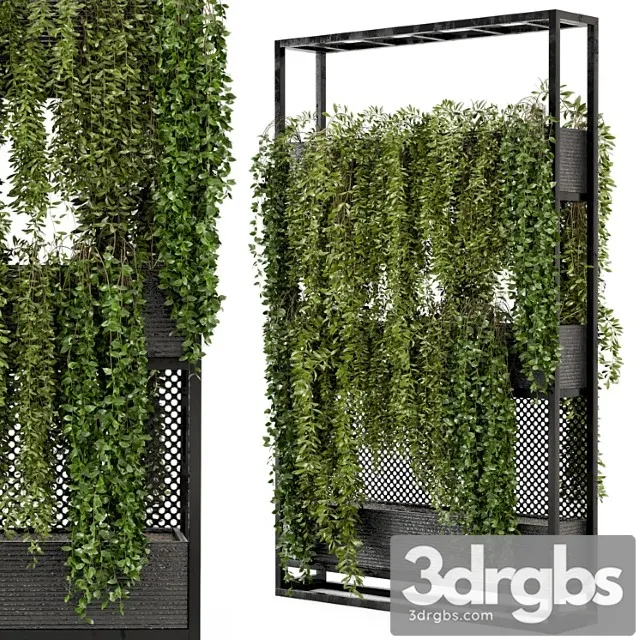 Indoor hanging plants in metal stand – set 100 Indoor hanging plants in metal stand – set 100