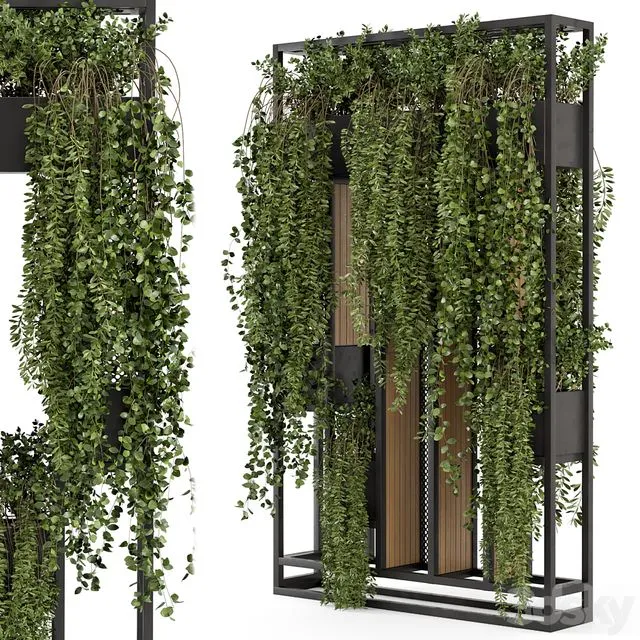 Indoor Hanging Plants in Metal Stand – Set 1005 3D Model