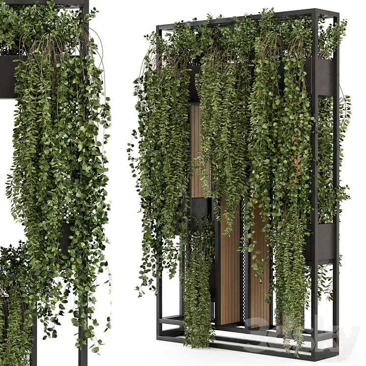 Indoor Hanging Plants in Metal Stand – Set 1005 3D Model Free Download