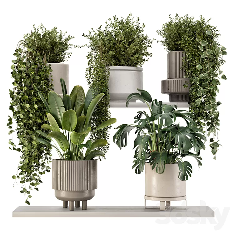 Indoor Hanging Plants in rusty Concrete Pot – Set 909 3D Model Free Download