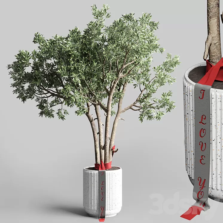 Indoor outdoor plant 111 pot friendship-love tree concrete vase 3D Model Free Download