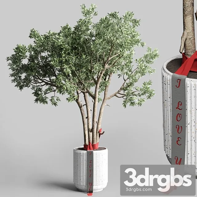 Indoor outdoor plant 111 pot friendship-love tree concrete vase Indoor outdoor plant 111 pot friendship-love tree concrete vase