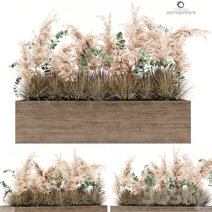 Indoor Pampas Plant 02 3D Model Free Download