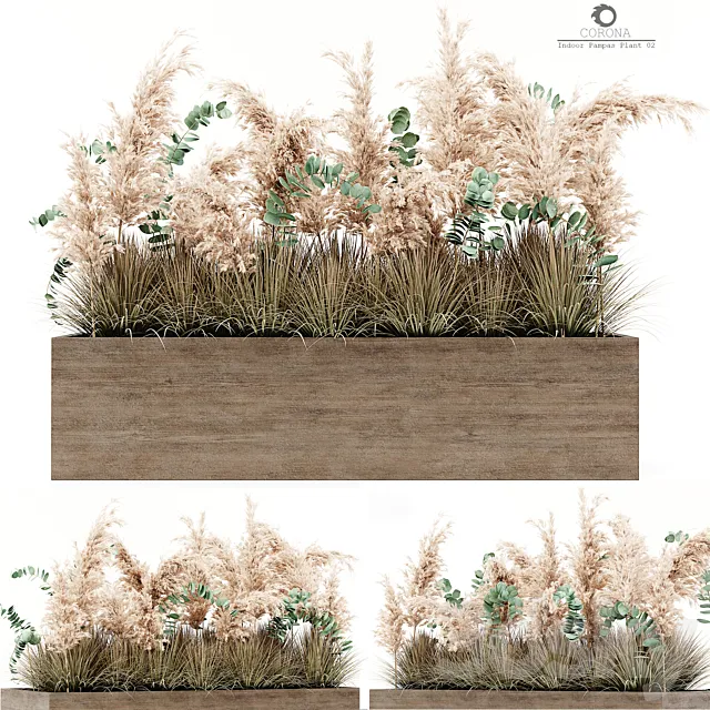 Indoor Pampas Plant 02 3DModel Indoor Pampas Plant 02 3DModel