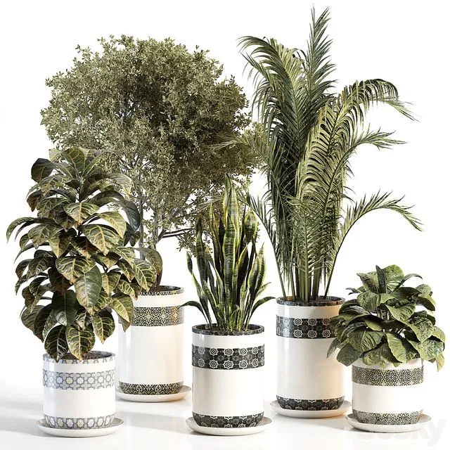 indoor plant 02 3D Model