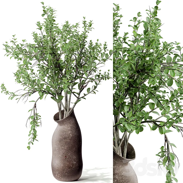 Indoor plant 02 3D Model Free Download Indoor plant 02 3D Model Free Download