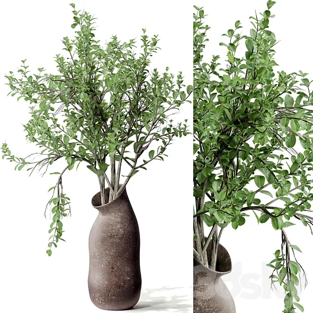 Indoor plant 02 3DModel Indoor plant 02 3DModel