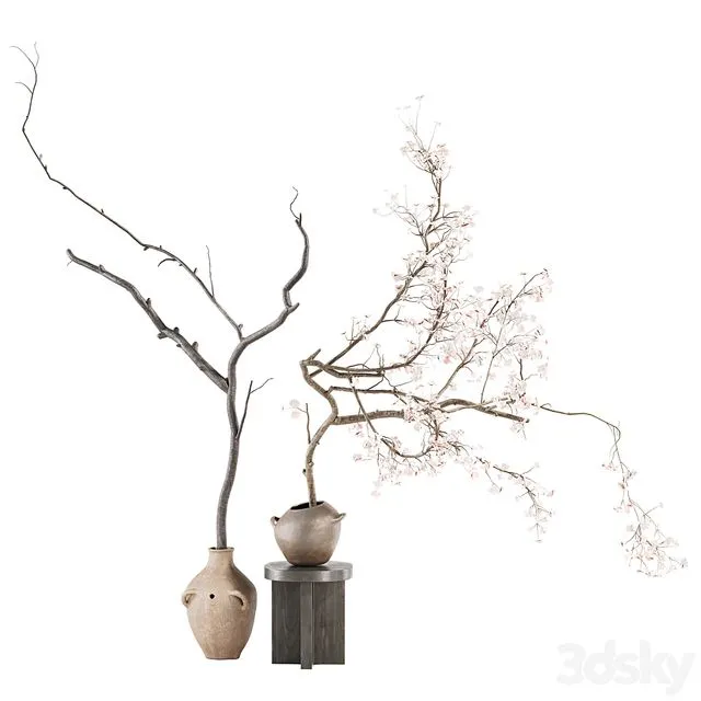 Indoor Plant 03 3D Model