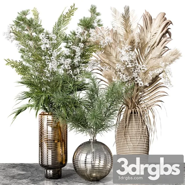 Indoor plant 04 Indoor plant 04