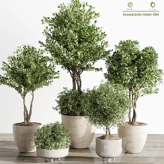 indoor Plant 054 Tree and Bush 3D Model