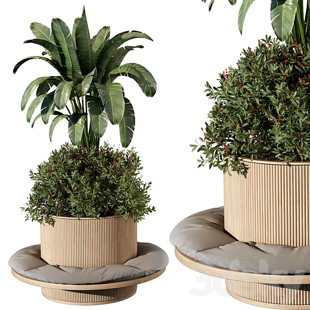 indoor Plant 249 3DModel