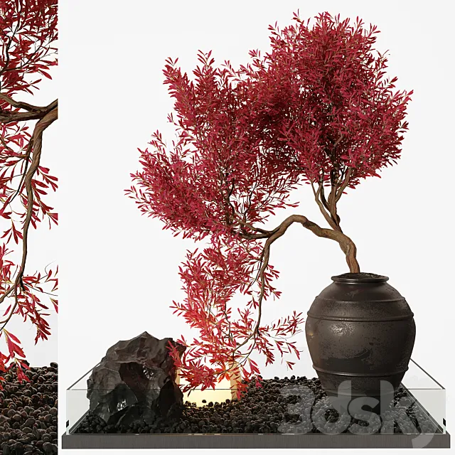 indoor Plant 253 3DModel