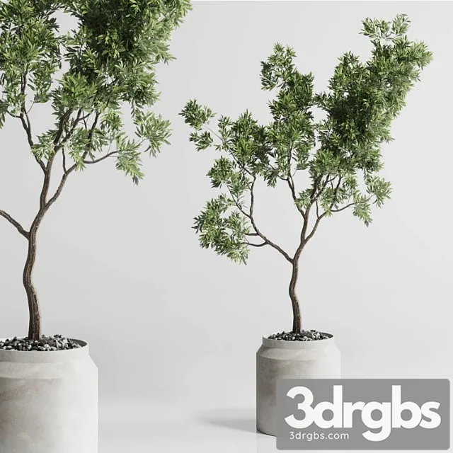 Indoor plant 285 concrete dirt vase plant tree pot Indoor plant 285 concrete dirt vase plant tree pot