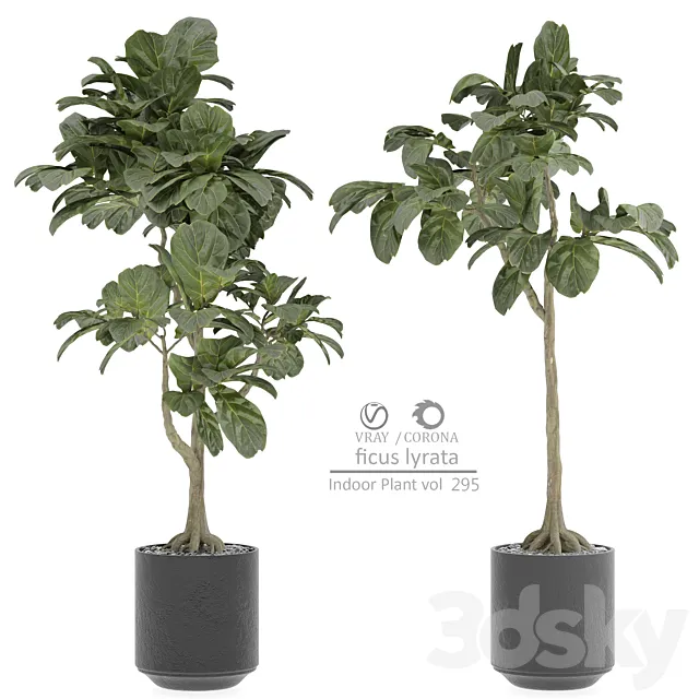 indoor Plant 295 3D Model