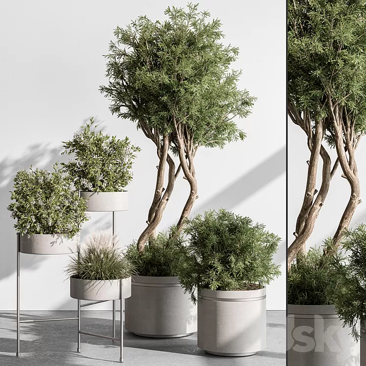 indoor Plant 433 – Tree and Bush 3D Model Free Download