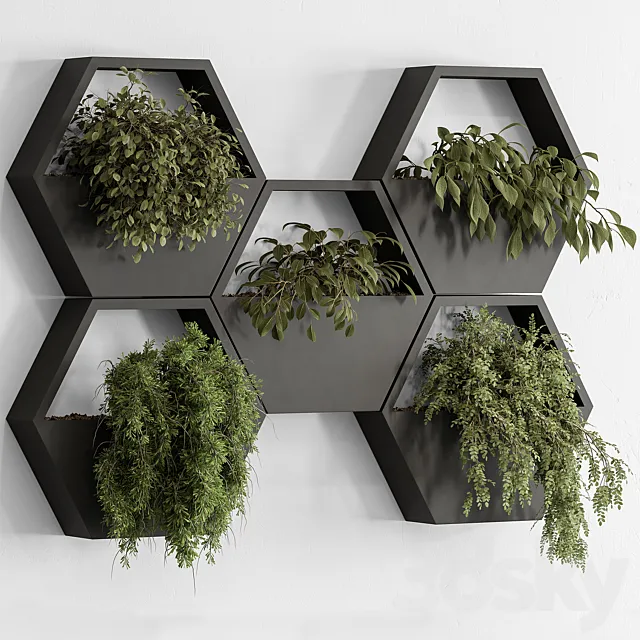 indoor Plant 536 – Hanging Plants 3D Model indoor Plant 536 – Hanging Plants 3D Model