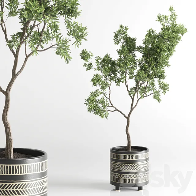 Indoor plant 56 vase handmade pottery plant tree pot 3DModel Indoor plant 56 vase handmade pottery plant tree pot 3DModel