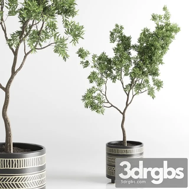 Indoor plant 56 vase handmade pottery plant tree pot Indoor plant 56 vase handmade pottery plant tree pot